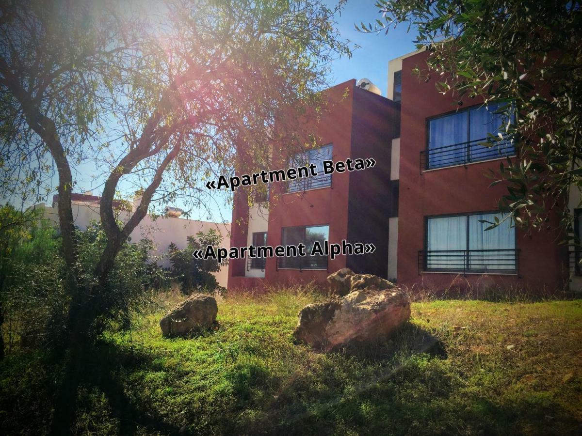 Apartment Alpha - 2 Bedrooms, Private Rooftop Patio With Hot Tub, Bbq And View Ferragudo  Luaran gambar